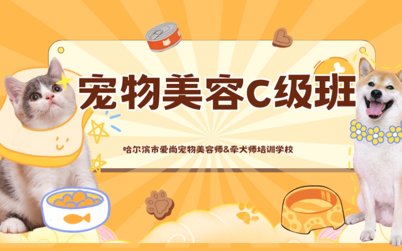 哈尔滨宠物美容C级专业班+零基础