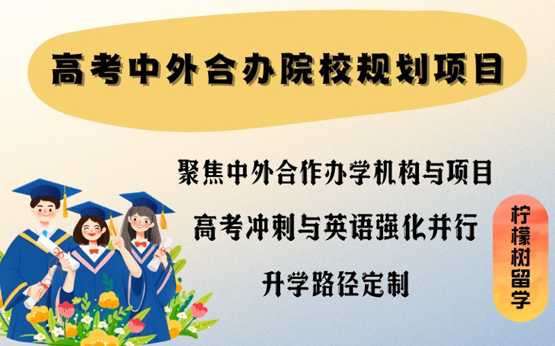 珠海高考中外合办院校规划项目