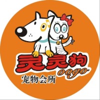 温州灵灵狗宠物美容培训学校