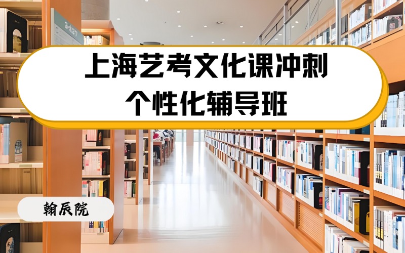 上海艺考文化课冲刺个性化辅导班