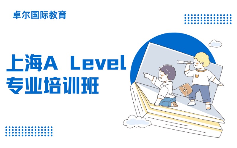 上海A Level数学物理化学经济学专业培训班
