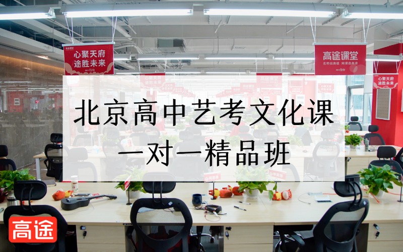 北京高中艺考文化课一对一精品班