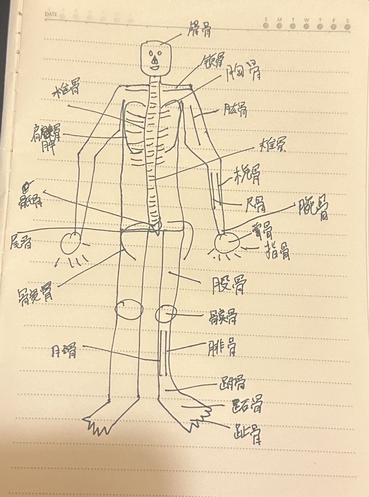 环境/教学