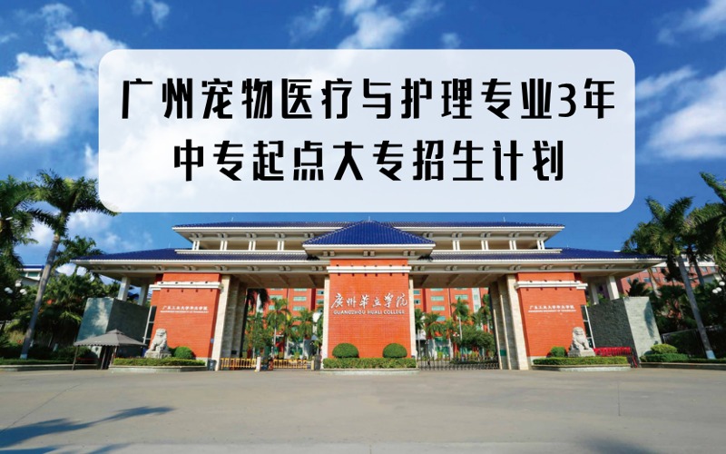 廣州寵物醫(yī)療與護(hù)理3年中專起點(diǎn)招生計(jì)劃