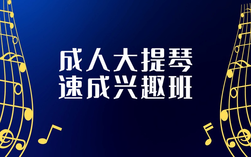 深圳成人大提琴轻松速成兴趣班