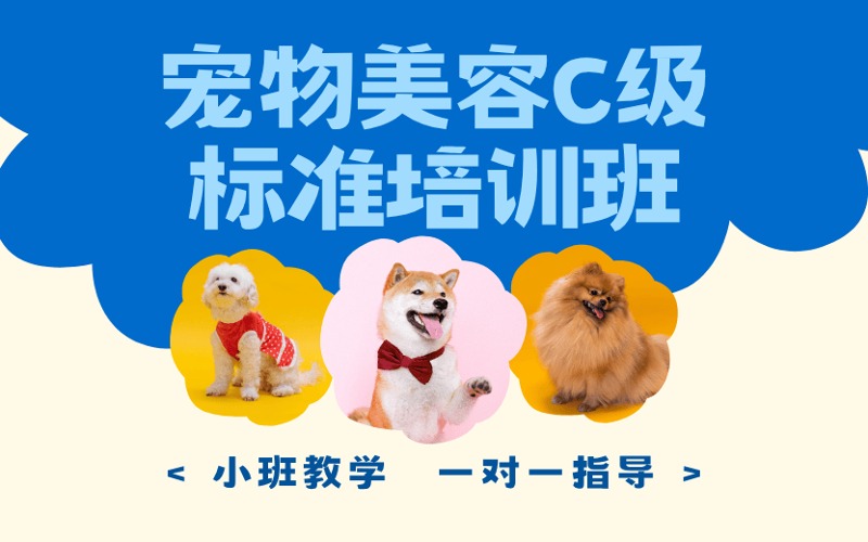 石家庄宠物美容零基础C级标准培训班