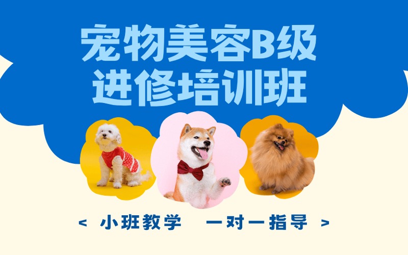 石家庄宠物美容B级进修培训班
