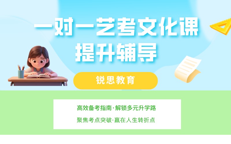 深圳一对一艺考文化提升辅导班