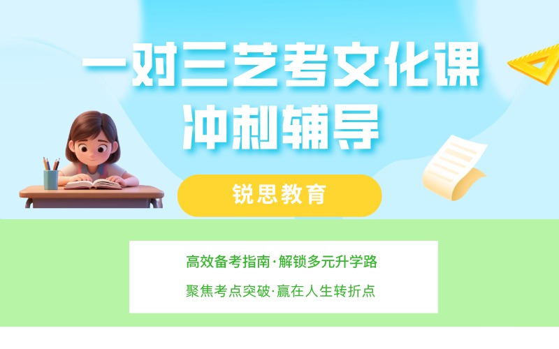 深圳一对三艺考文化冲刺辅导班