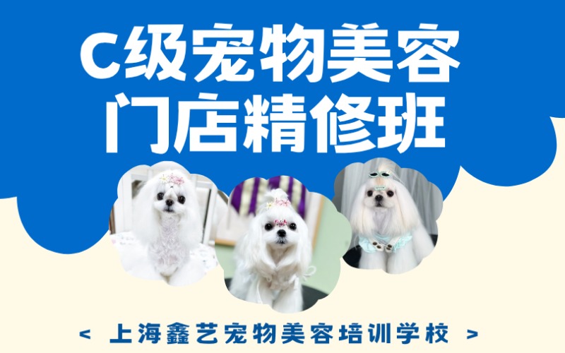 上海宠物门店C级精修班
