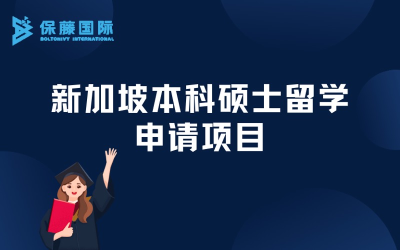 南京新加坡本科硕士留学定制化申请项目