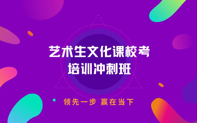 广州艺术生文化课校考培训冲刺班