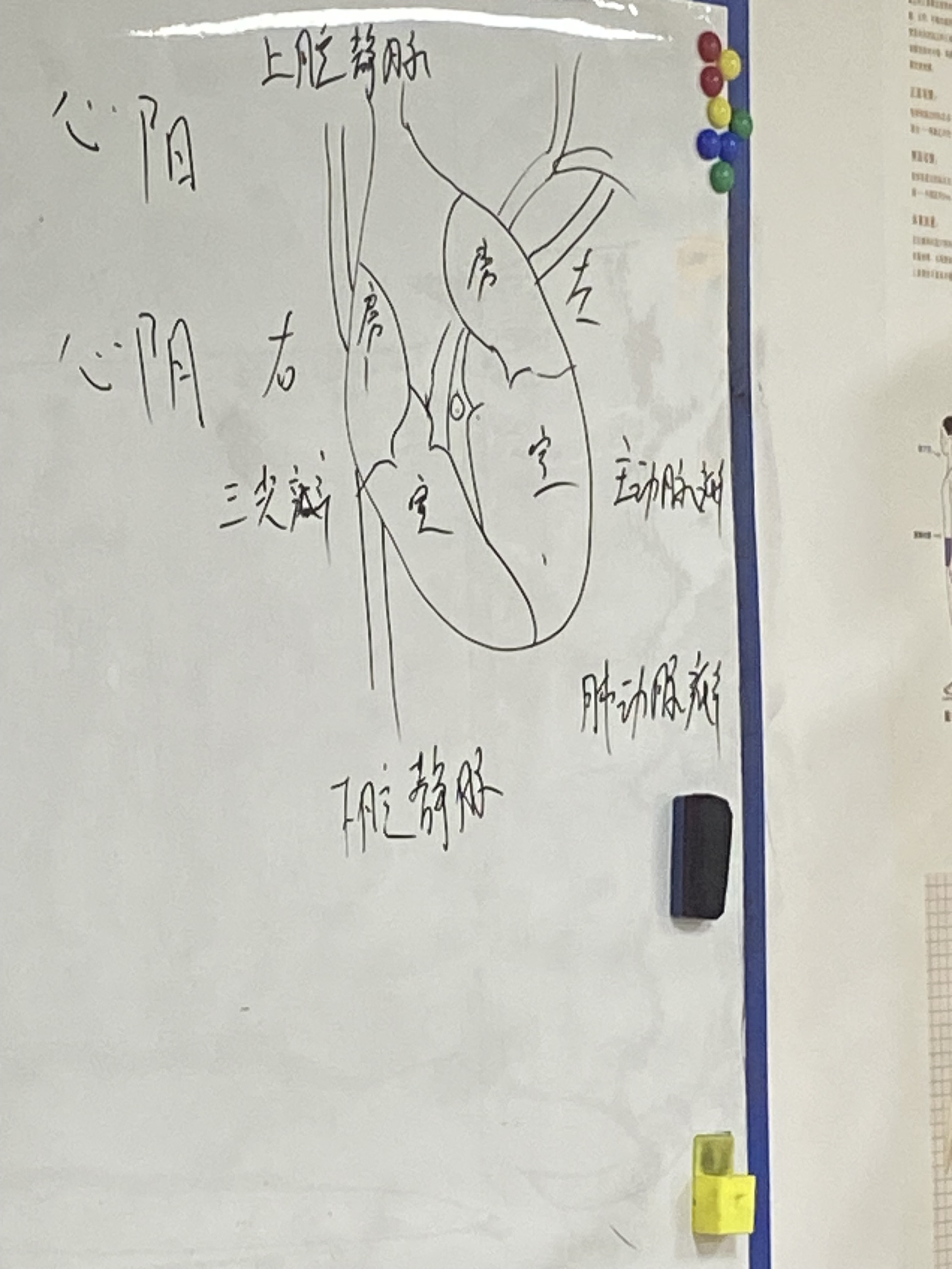 环境/教学