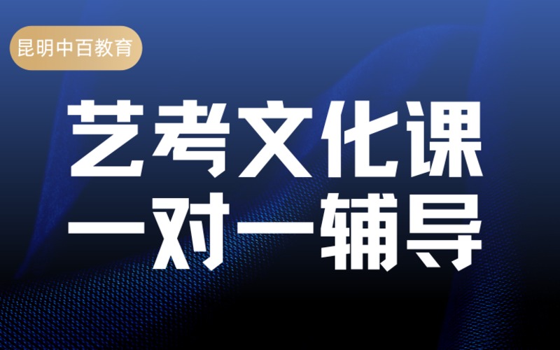 昆明艺考生文化课全科一对一辅导课程