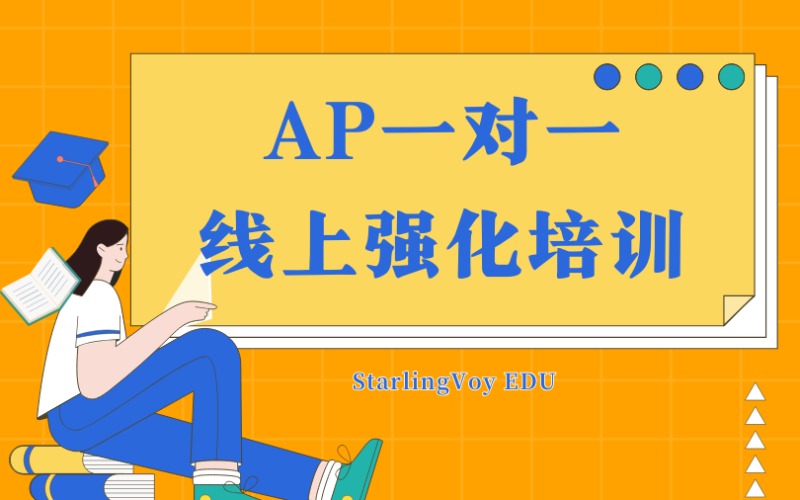 AP一对一线上定制培训班