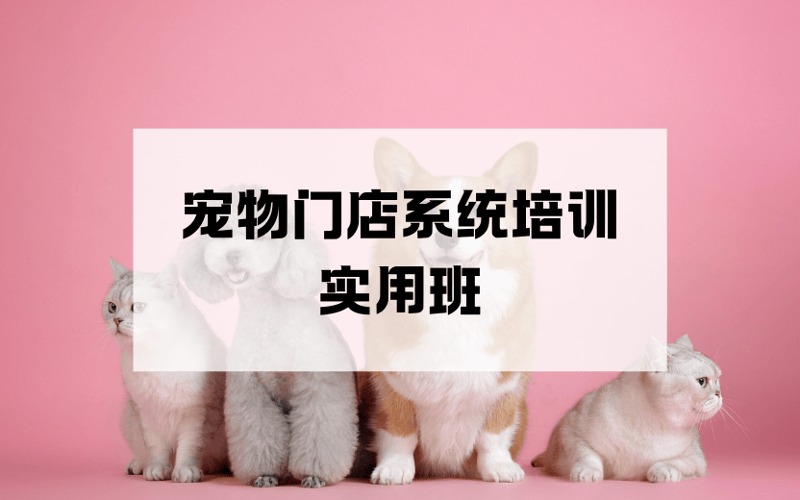 东莞宠物门店系统培训实用班