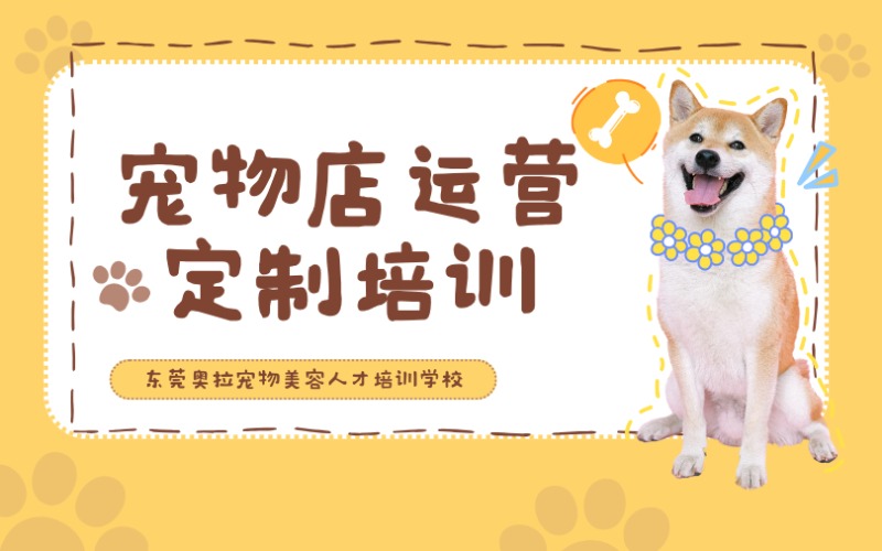 東莞寵物店運營定制培訓班