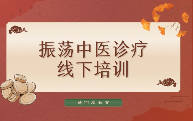 振荡中医诊疗系统线下培训班