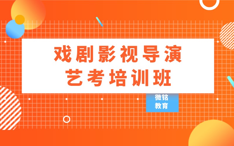 戏剧影视导演艺考冲刺培训班