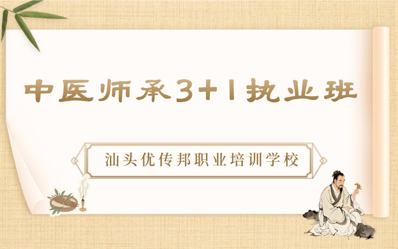 汕头中医师承3+1执业进阶培训班