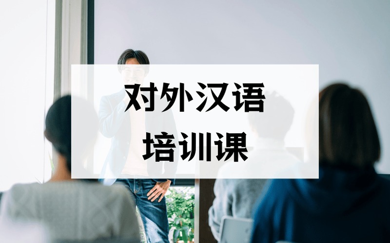 對(duì)外漢語(yǔ)定制化一對(duì)一培訓(xùn)課