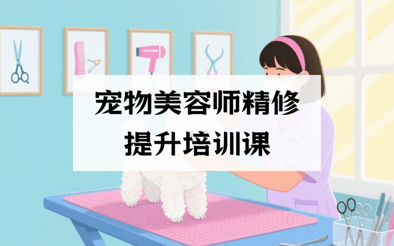 长沙萌系宠物美容师精修提升培训课