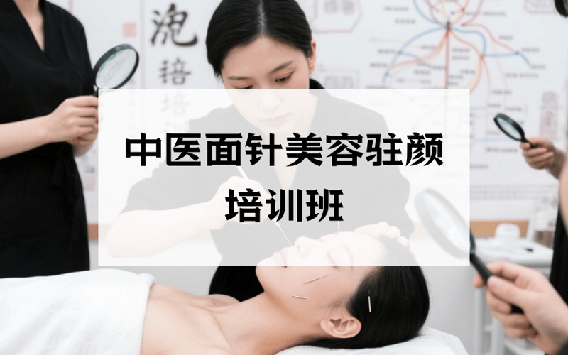 成都中医面针无痛美容驻颜培训班