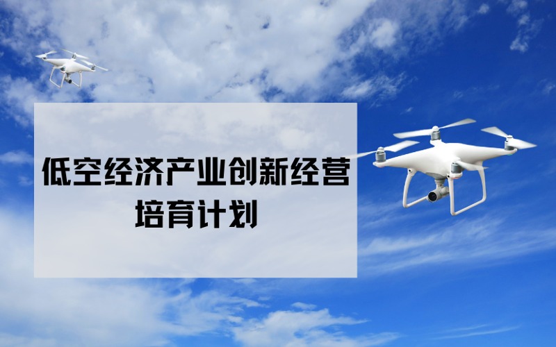 北京低空经济产业创新经营领航千人培育计划