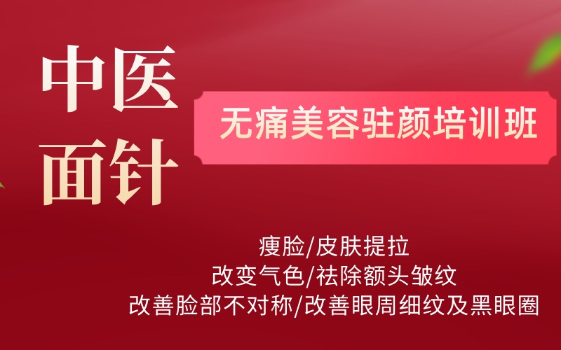 中医面针无痛美容驻颜培训班