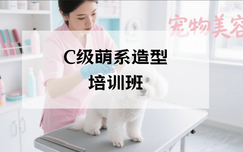 重慶寵物美容C級(jí)萌系造型培訓(xùn)班