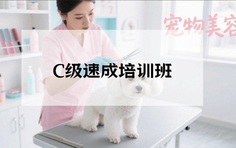 重慶寵物美容C級(jí)速成培訓(xùn)班