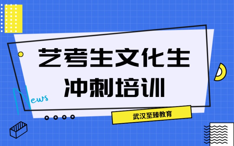 武汉艺考生文化生冲刺培训班