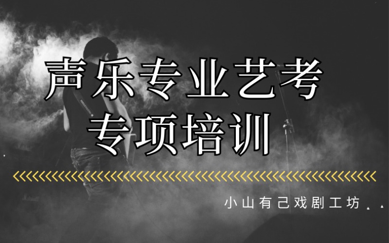 石家莊聲樂專業(yè)藝考專項(xiàng)培訓(xùn)班