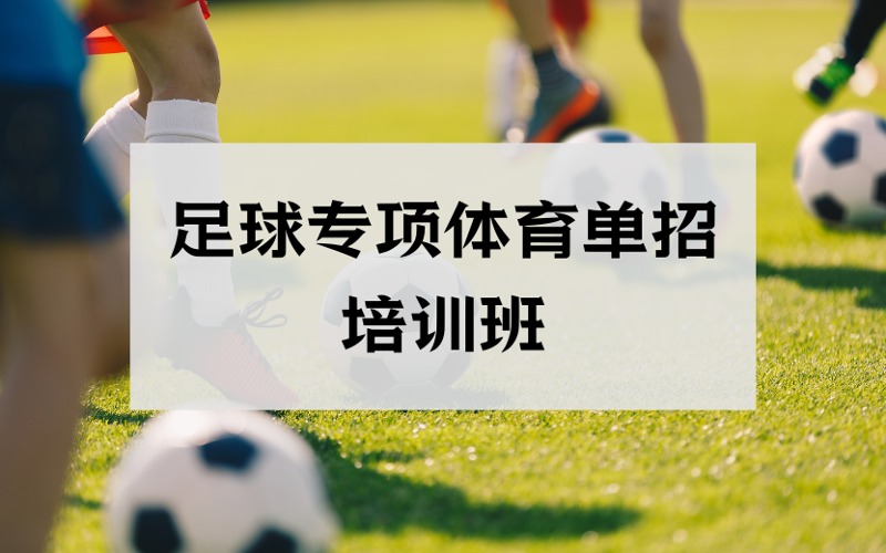 昆明足球专项体育单招培训班