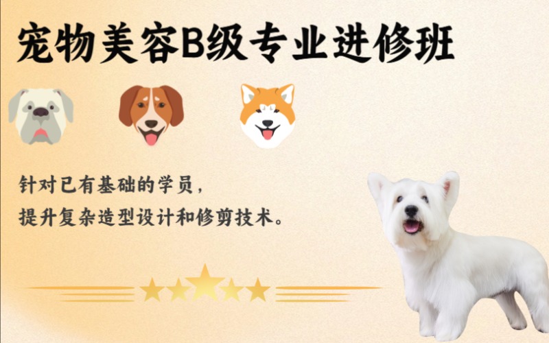 合肥寵物美容B級專業(yè)進(jìn)修班