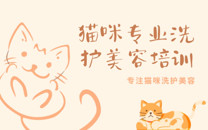 合肥貓咪專業(yè)洗護(hù)美容培訓(xùn)課