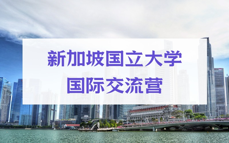 厦门新加坡国立大学人工智能暑期七天国际交流营