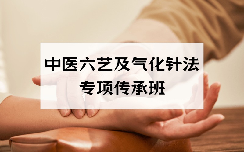 廣州中醫(yī)六藝及氣化針法專項傳承班