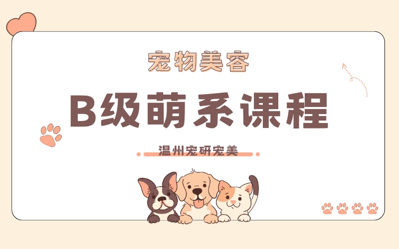 温州B级萌系进阶培训课程