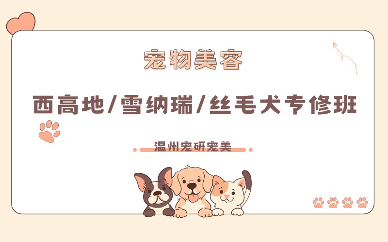 溫州西高地/雪納瑞/絲毛犬專(zhuān)修培訓(xùn)班