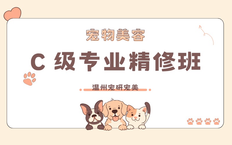 温州宠物美容 C 级专业精修班