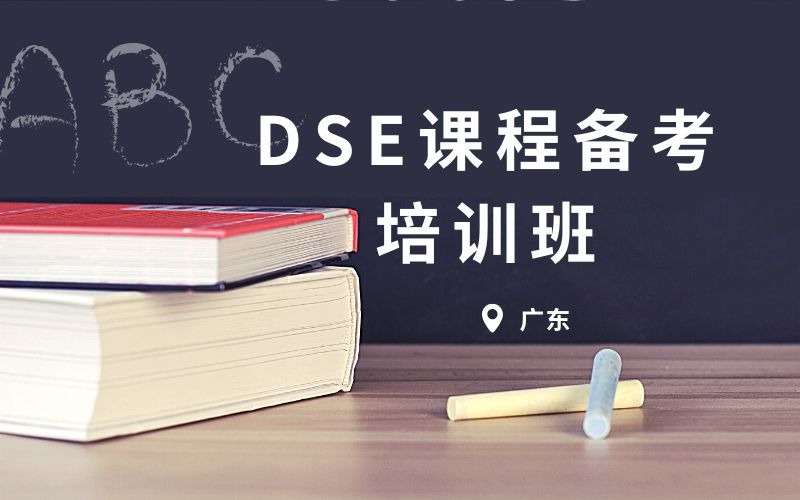DSE课程备考培训班