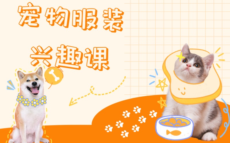 上海宠物服装兴趣课程