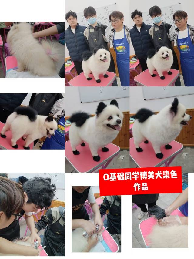 环境/教学