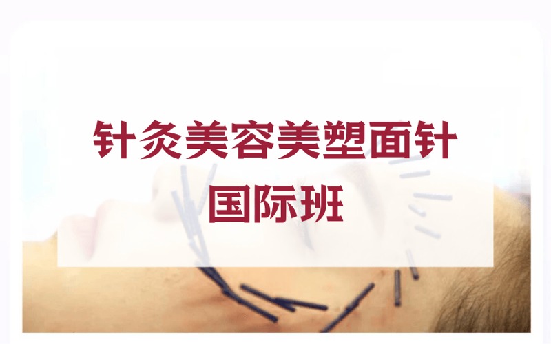 北京针灸美容美塑面针适宜技术国际班