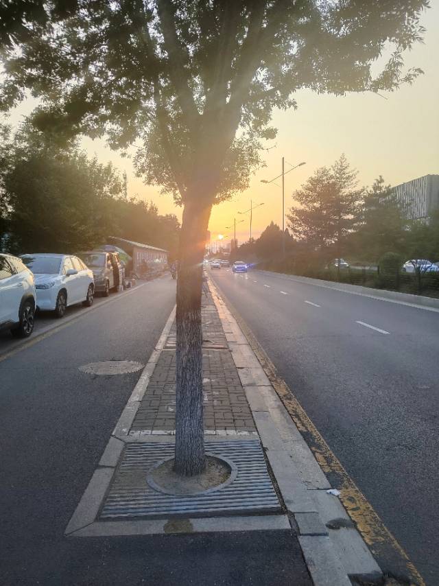 环境/教学