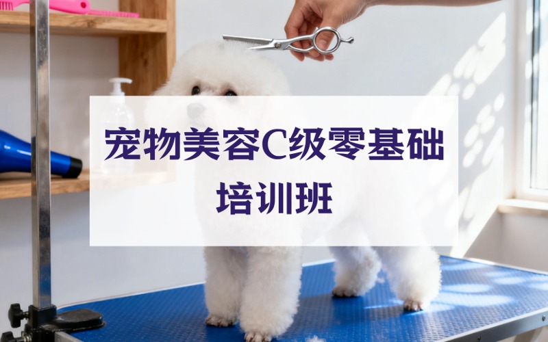武漢寵物美容C級(jí)零基礎(chǔ)培訓(xùn)班