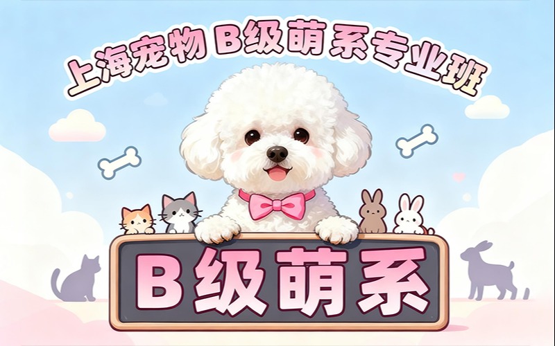 上海宠物 B 级萌系专业班