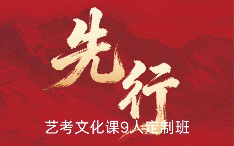 山东艺考文化课9人定制班