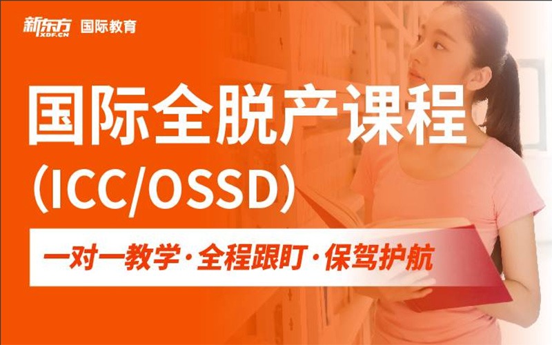 杭州新东方国际全脱产一对一培训课程